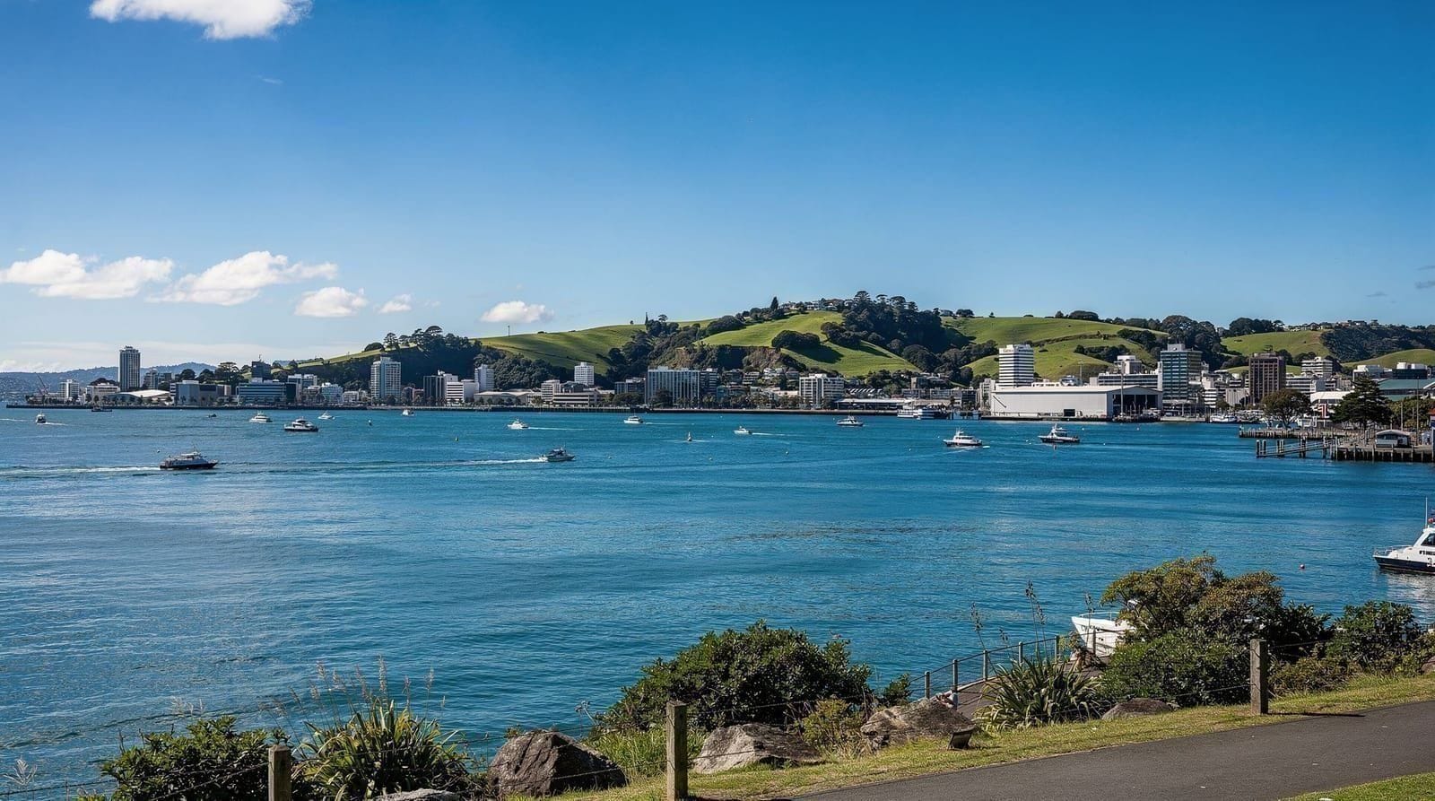 25 things to know before visiting Auckland — Practical, honest tips on visas, money, driving, weather and etiquette for first