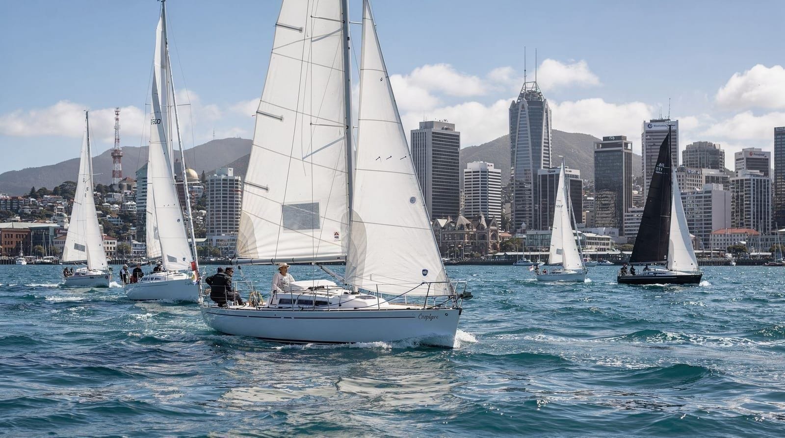 Auckland cruise port guide: what to do with a few hours ashore — A practical guide for cruise passengers in Auckland: what's walkable from Queens