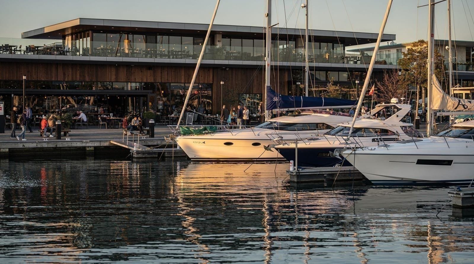Auckland for couples: a genuinely romantic itinerary, not a generic list — A real romantic Auckland itinerary — sunset harbour cruise, a Waiheke wine day, 