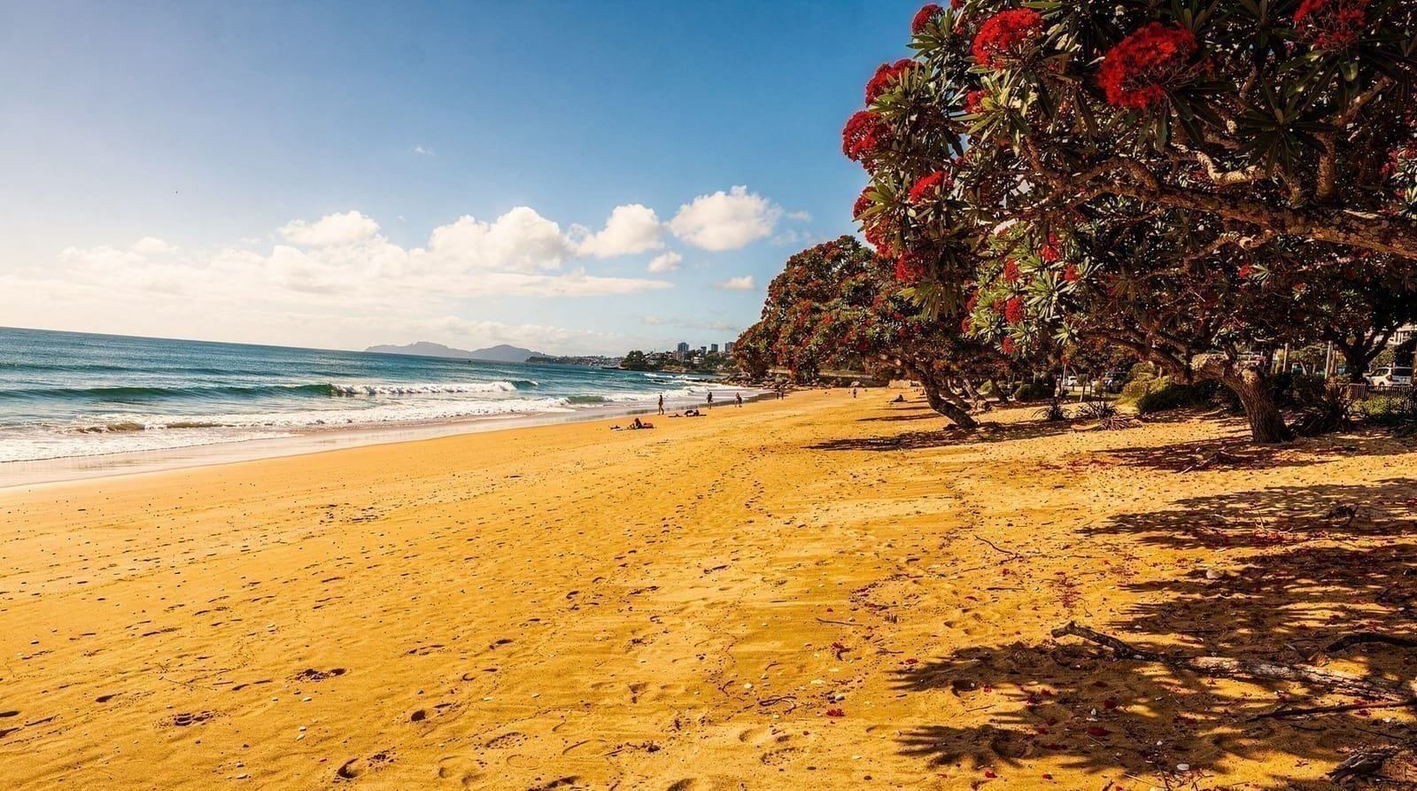 Best swimming spots near Auckland, and how to swim safely at each one — Auckland's best swimming beaches — Mission Bay, Cheltenham, Piha, Muriwai and Wa
