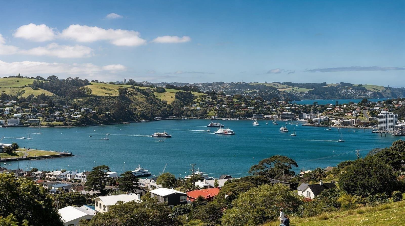Sustainable travel in Auckland: how to visit responsibly — How to reduce your impact and travel more responsibly around Auckland — transpor