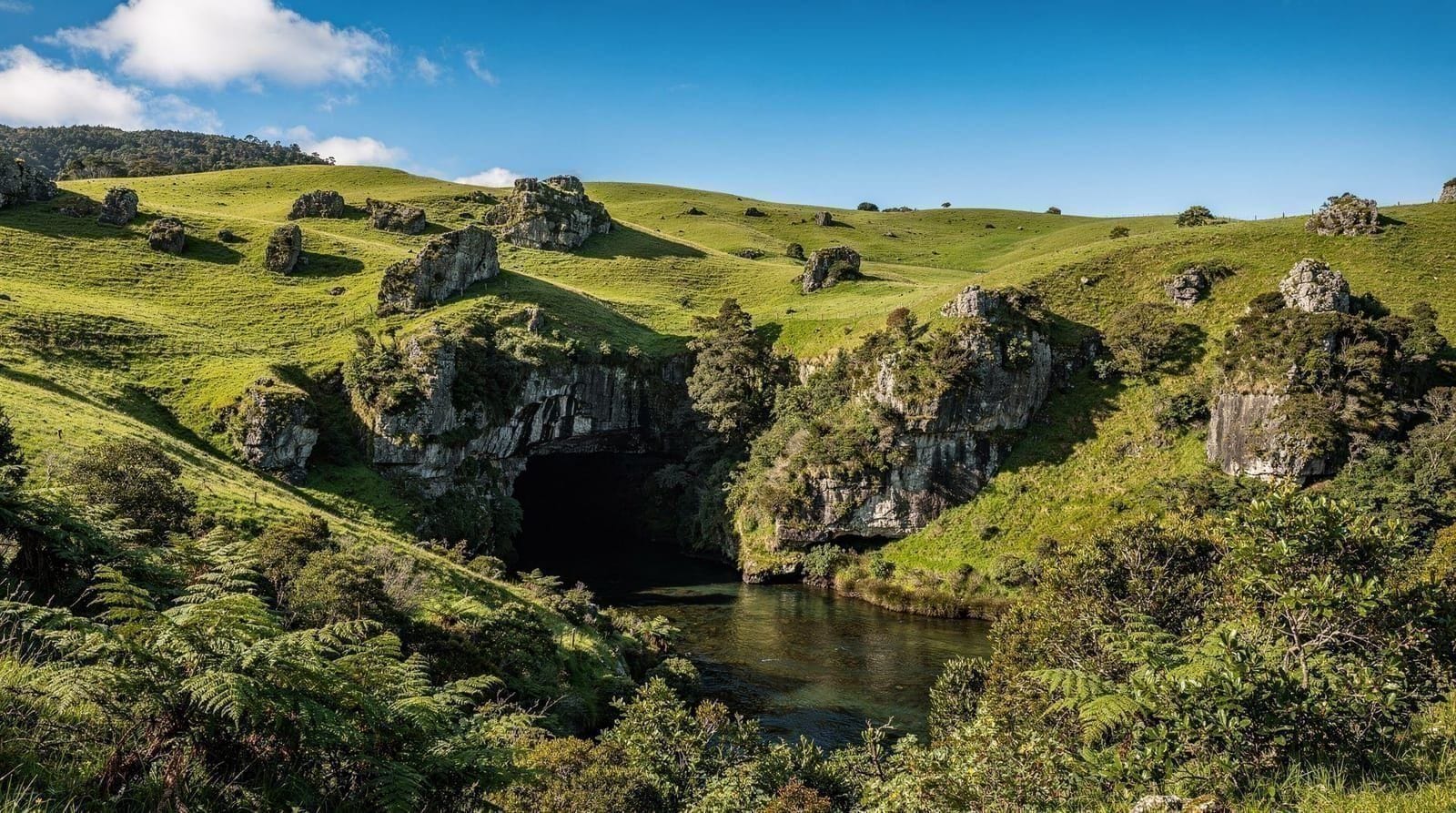 Waitomo Caves, New Zealand
