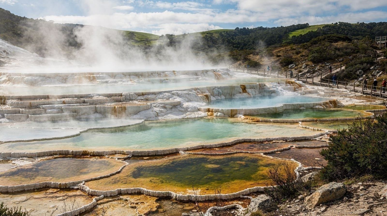 Rotorua: Skyline gondola ticket