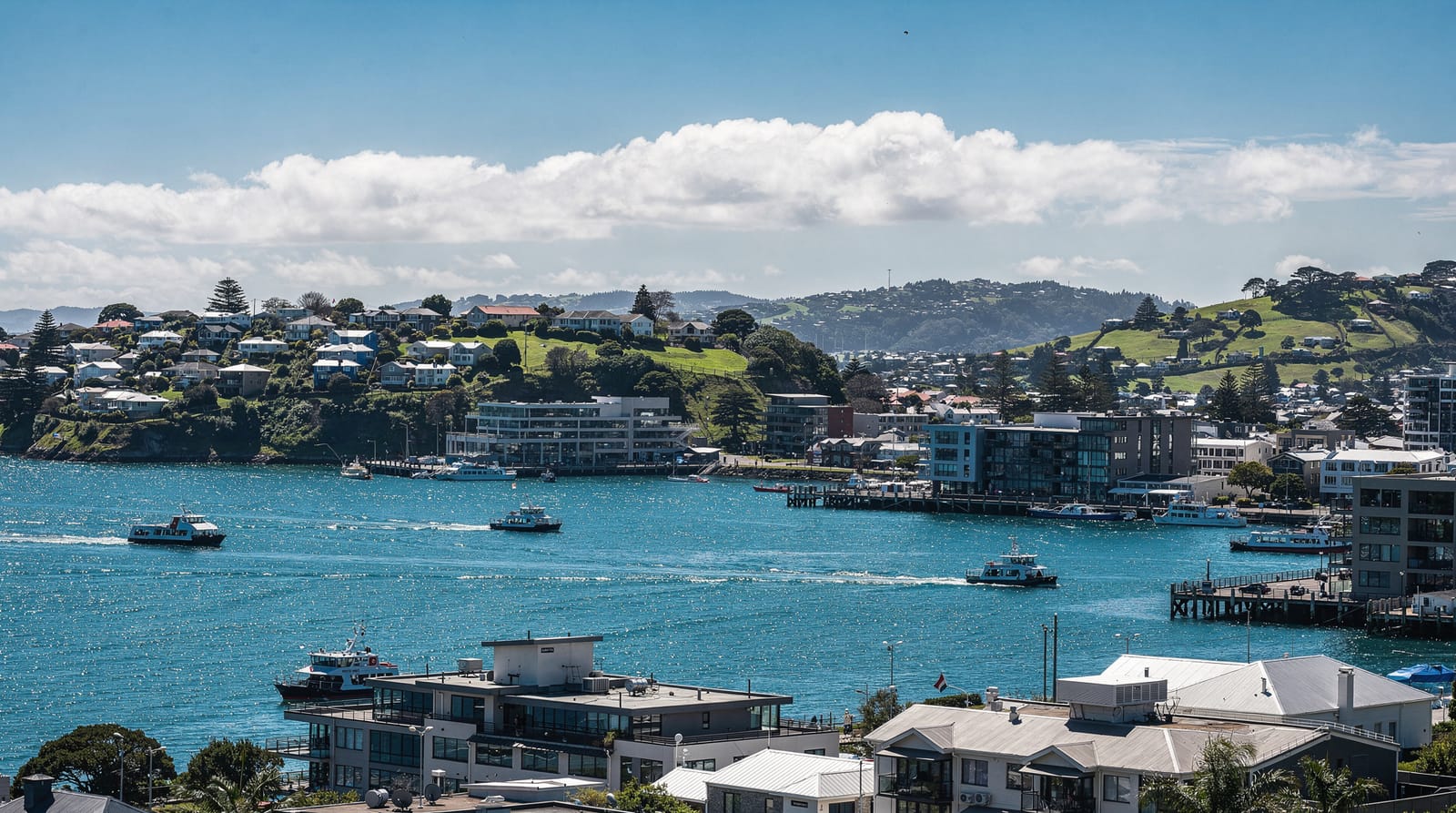 Auckland: Coromandel day tour including hot water beach