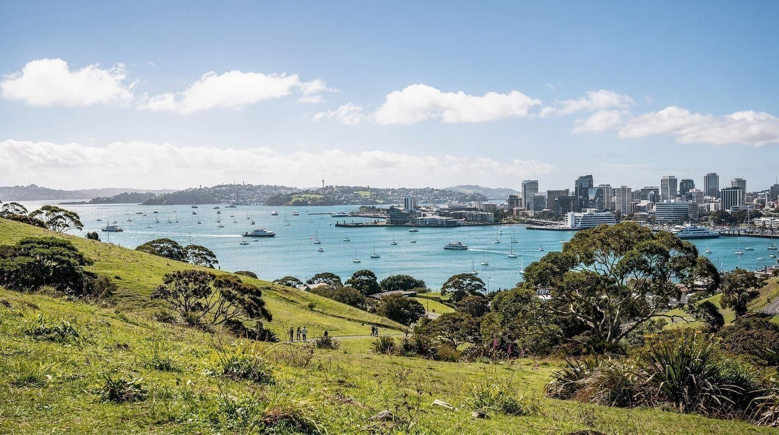 Auckland in a day: the realistic hour-by-hour plan