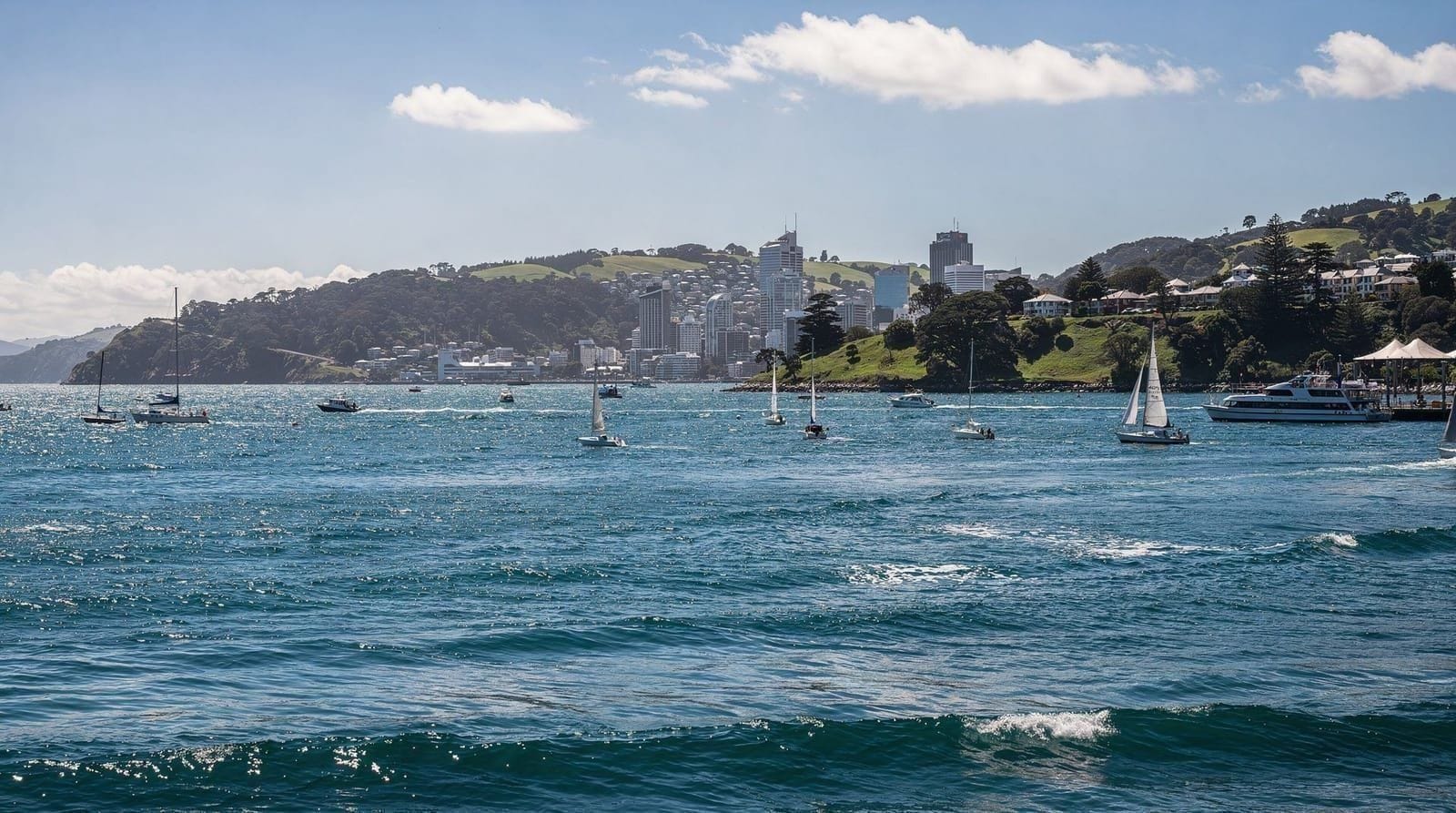 Auckland neighbourhoods: which one suits you — Auckland's key neighbourhoods compared honestly — CBD, Ponsonby, Devonport, Miss