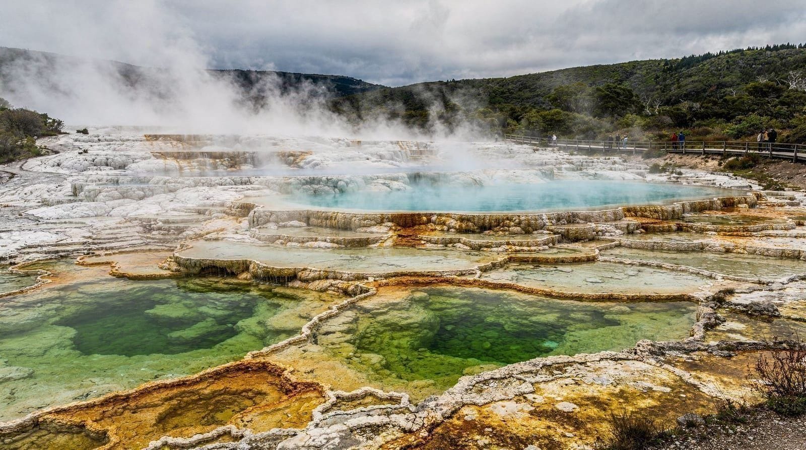 Auckland to Rotorua transport: drive, coach, transfer or fly — How to get from Auckland to Rotorua: self-drive timing, InterCity coach, guided 