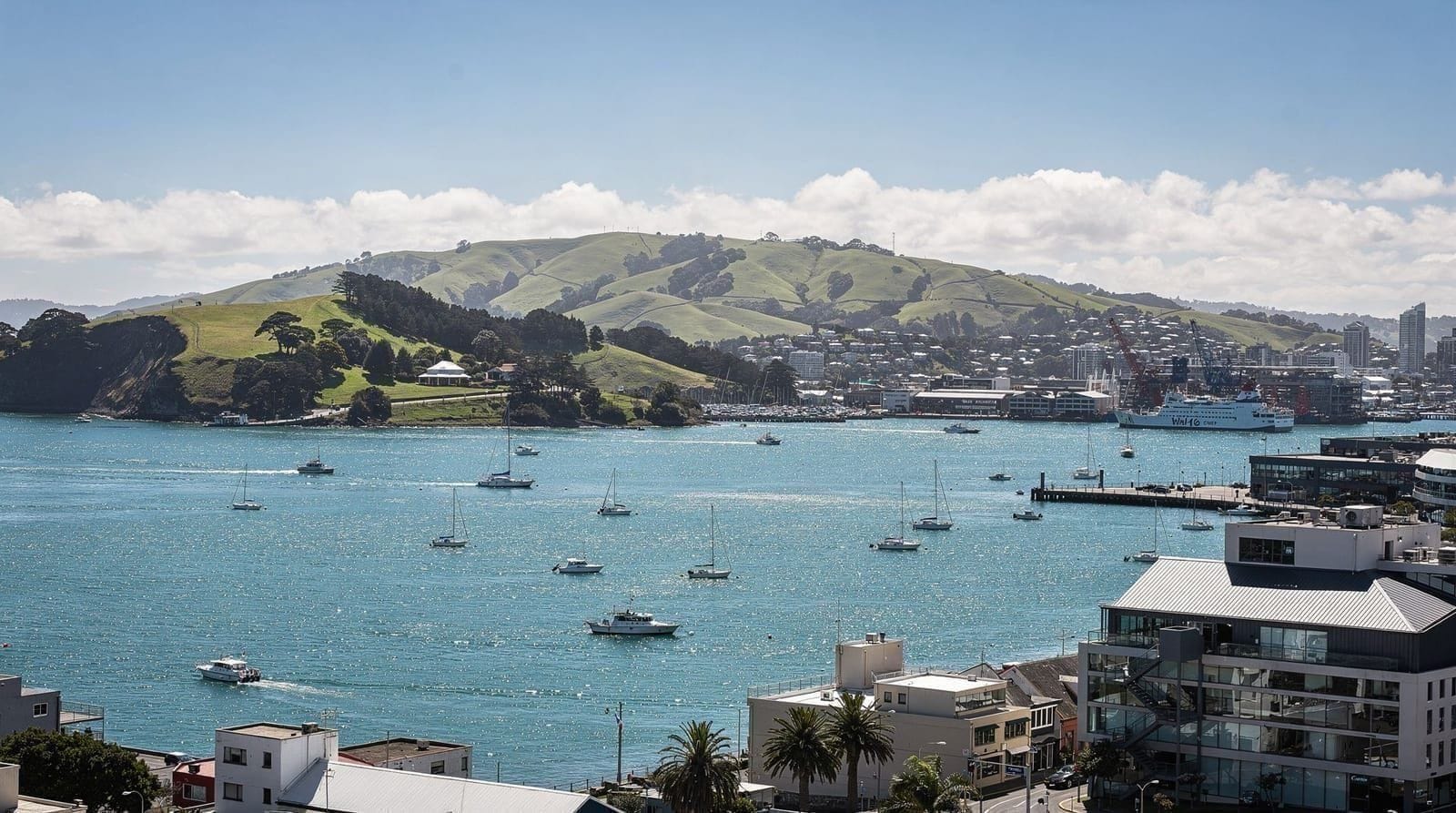 Auckland tourist traps to skip (and what to do instead) — Honest warnings about Auckland's overhyped attractions, plus better-value altern
