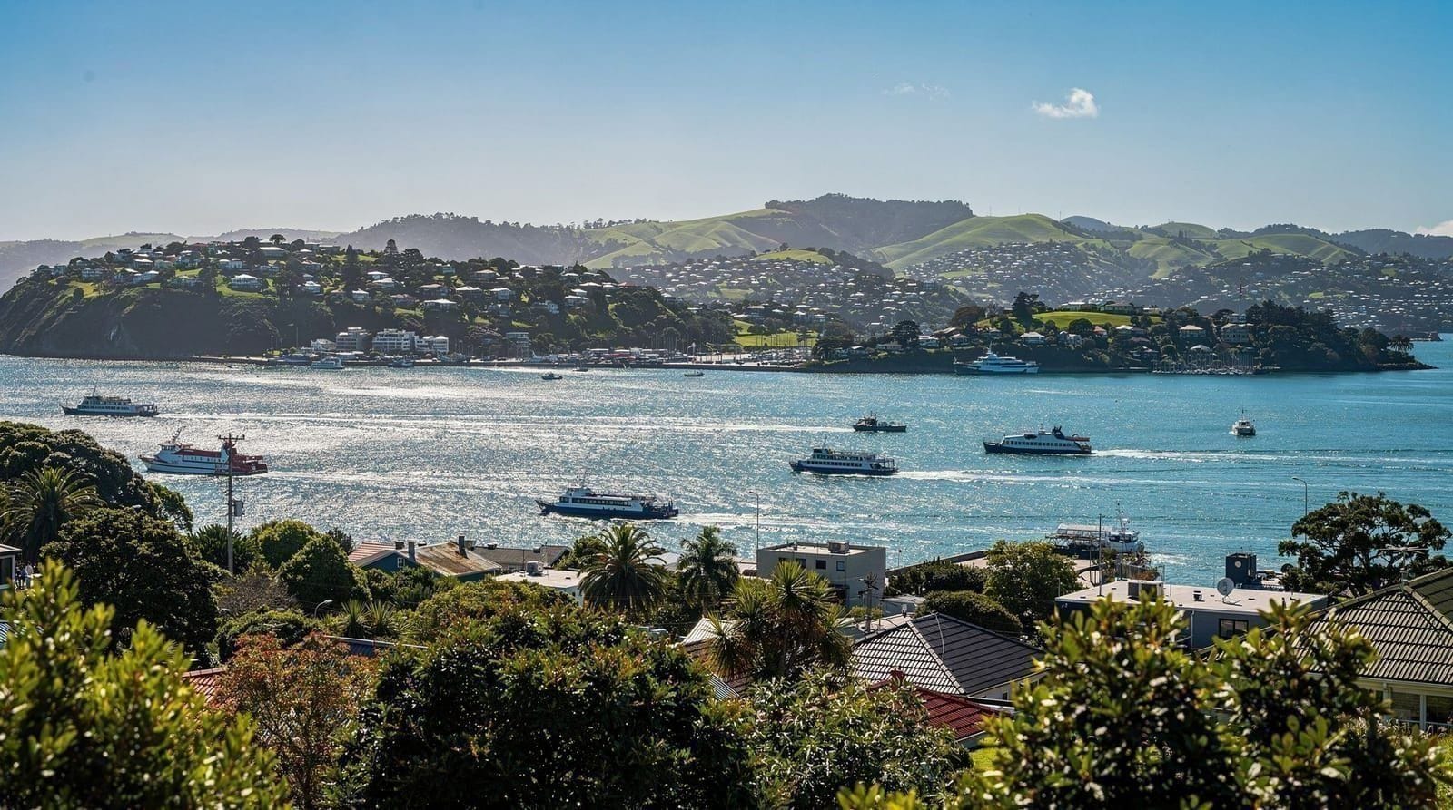 Auckland travel guide: everything you need to plan your trip — The complete Auckland travel guide: when to go, entry rules, budget, getting aro