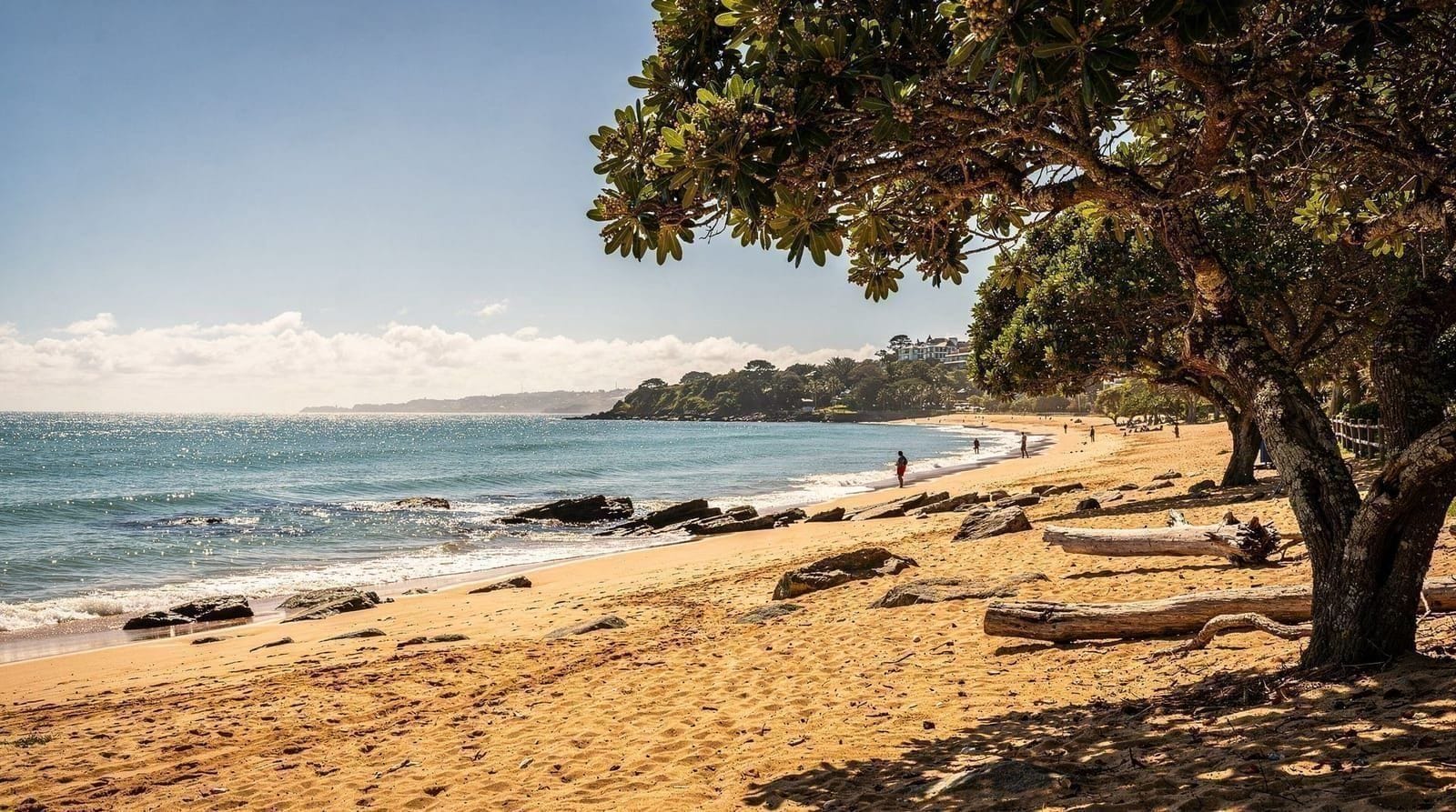 The best beaches near Auckland, from city to day trip — Auckland's best beaches ranked by distance: city beaches reachable by bus, west 