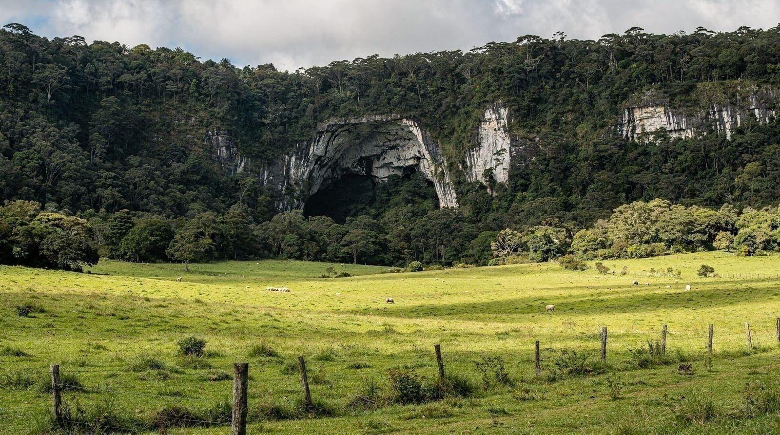 Waitomo: Glowworm caves guided tour by boat