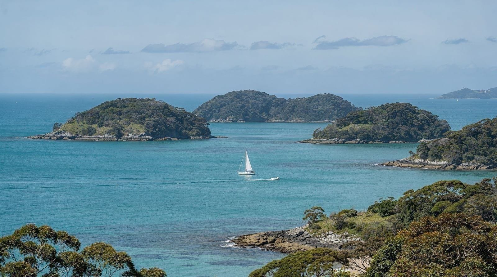 Cape Reinga day trip: why it doesn't start in Auckland — Cape Reinga day trip guide: why every real tour departs from Paihia, not Aucklan