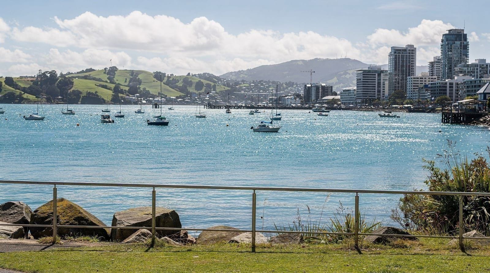 Auckland: Coromandel and cathedral cove day tour