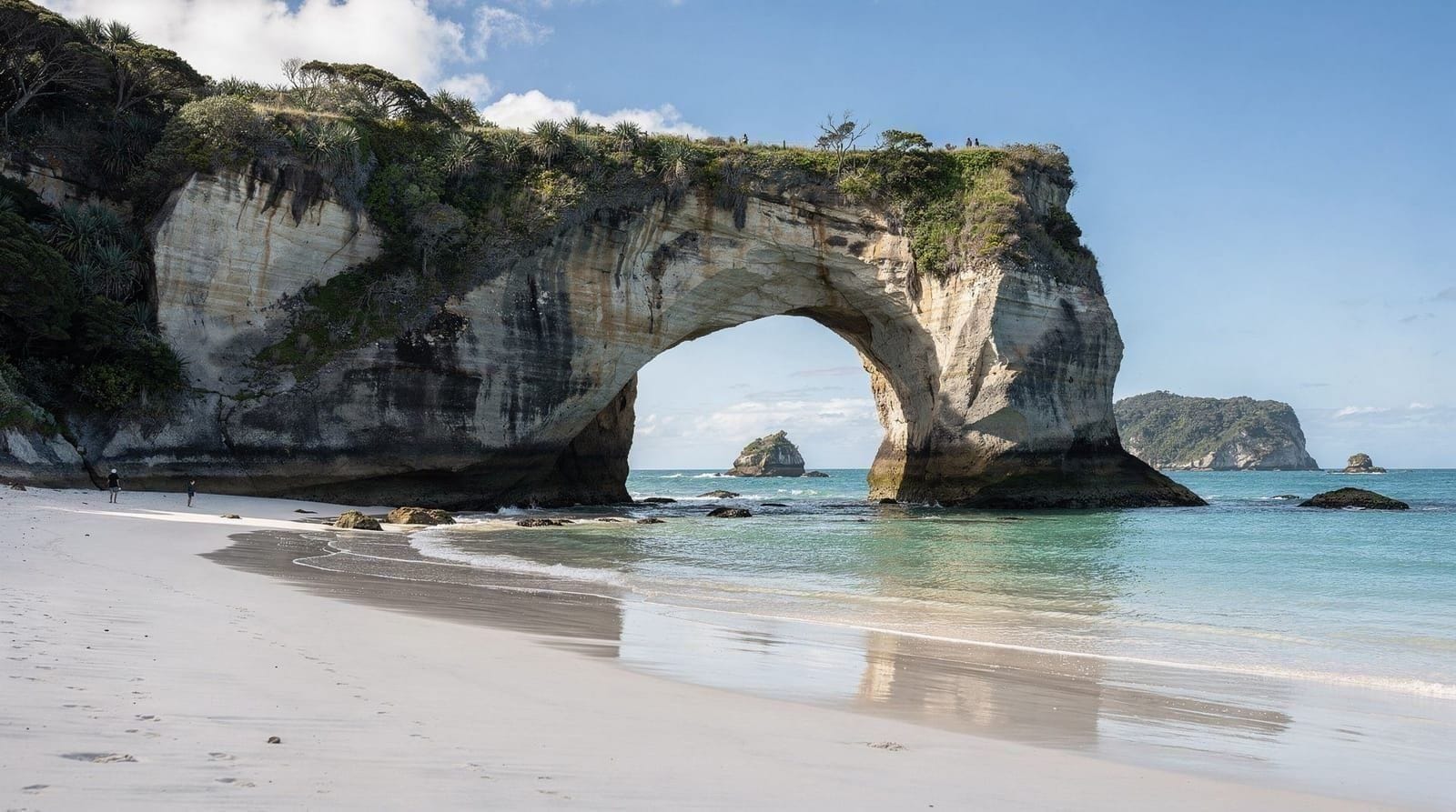Coromandel Town: Cathedral cove hot water beach day tour from coromandel