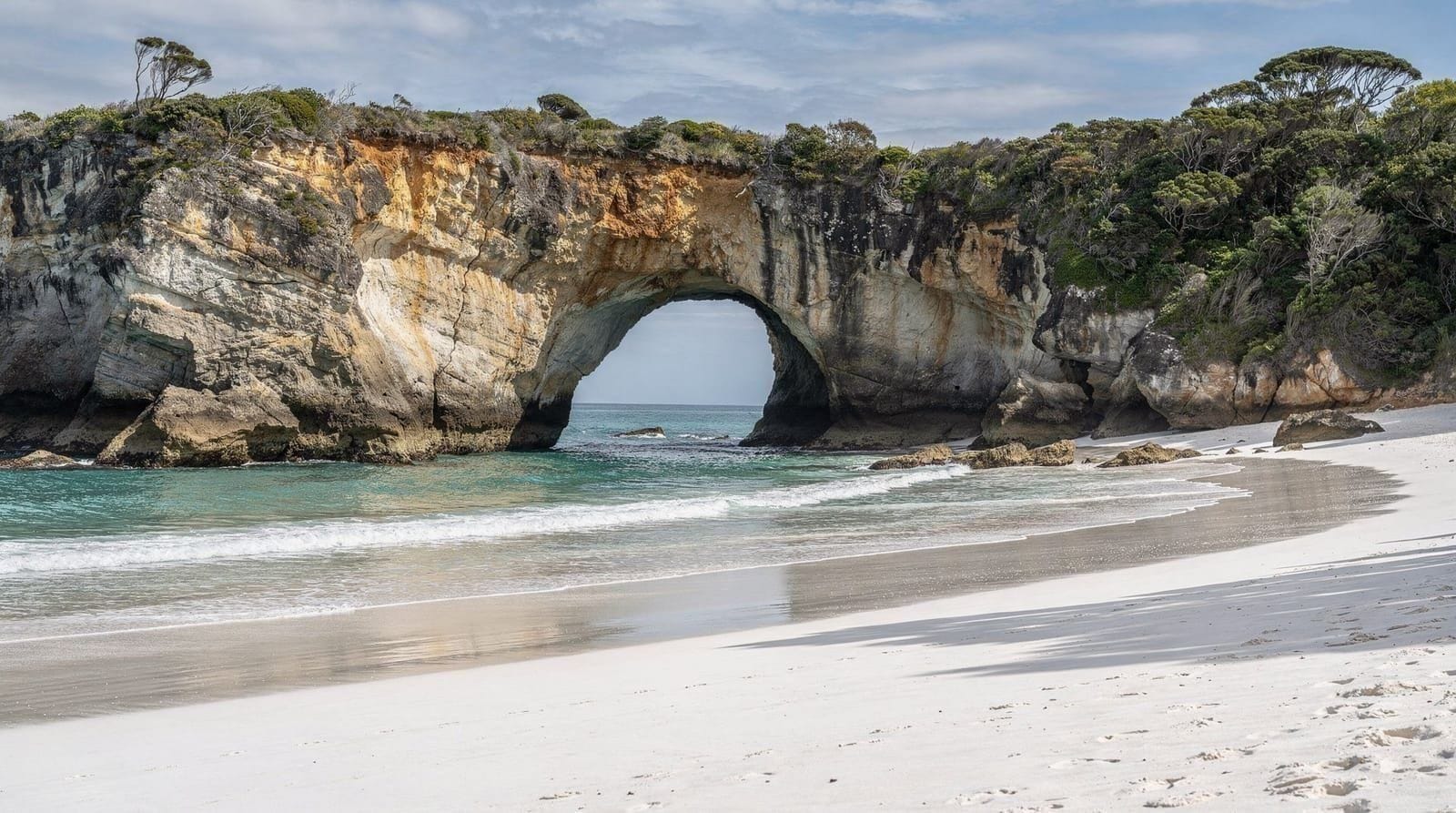 Auckland: Cathedral cove coromandel scenic day tour