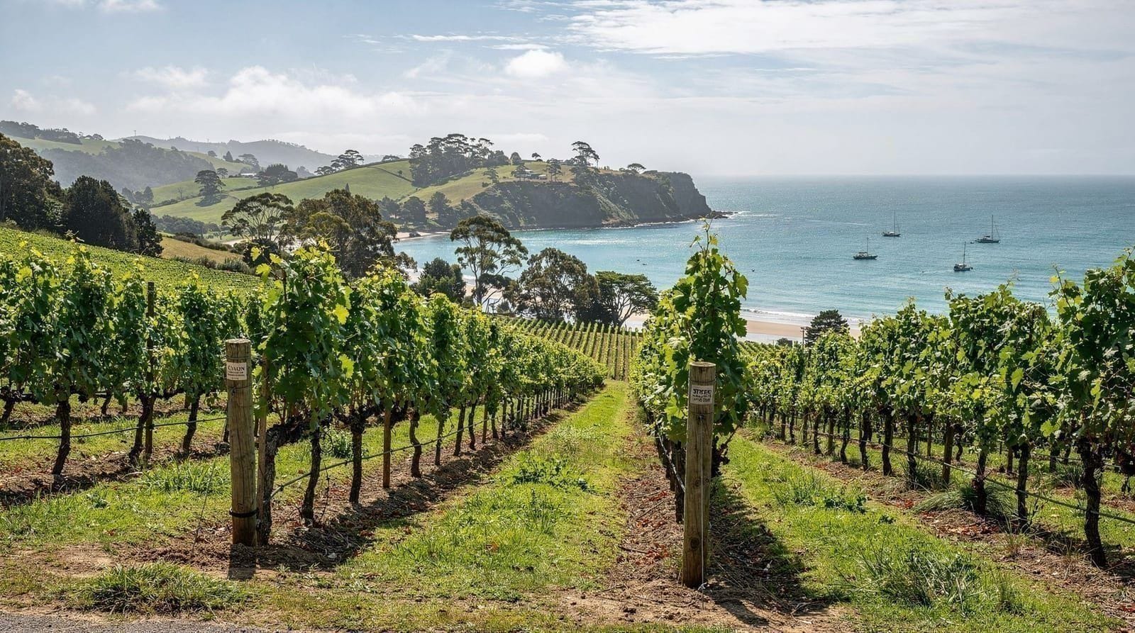 Ferry vs drive to Waiheke Island: which makes sense for your trip — Ferry vs vehicle ferry to Waiheke Island compared: real NZD prices, timing, and 
