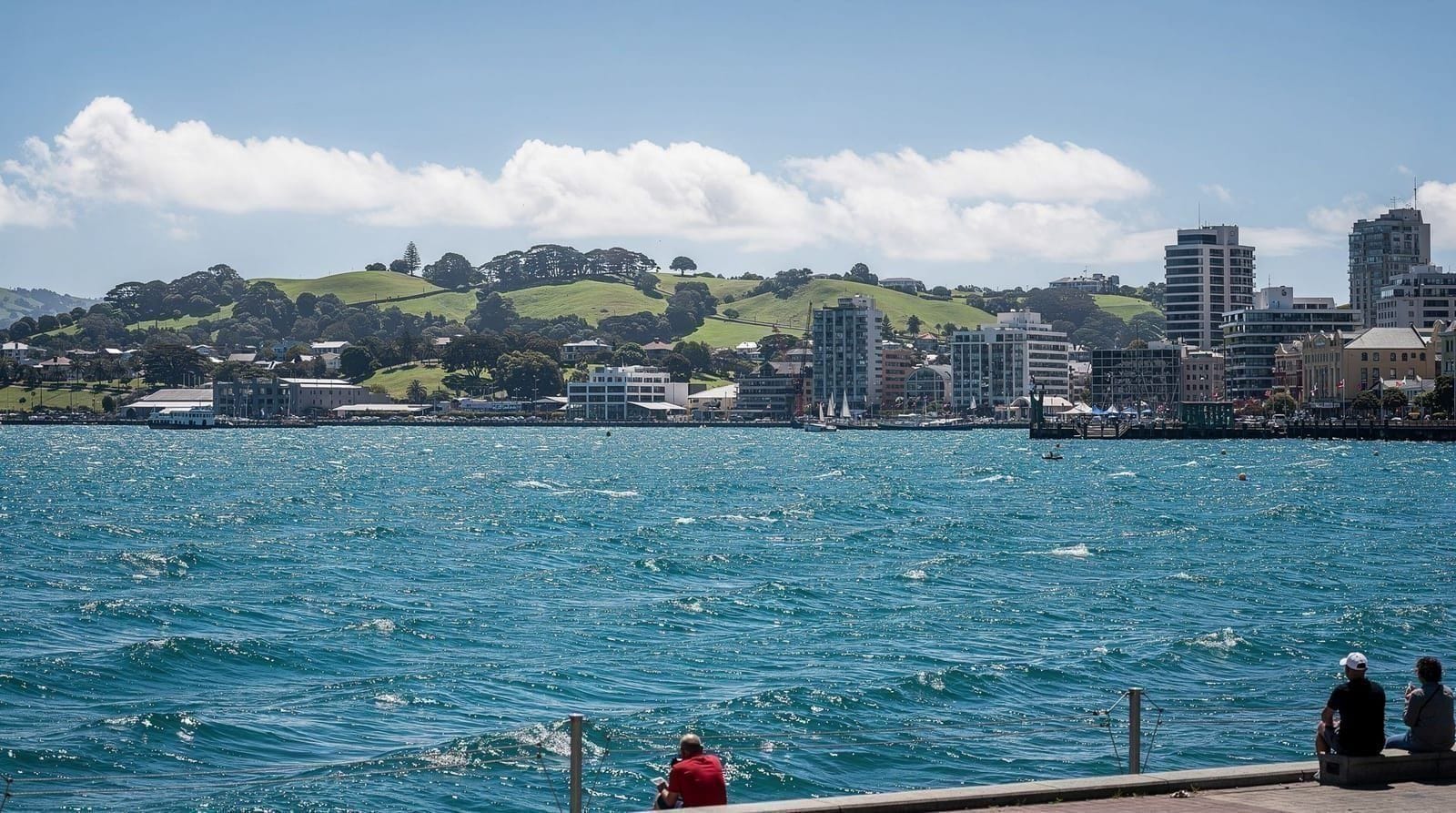 Getting around Auckland: the complete transport guide — How to get around Auckland — buses, trains, ferries, the AT HOP card, rental car