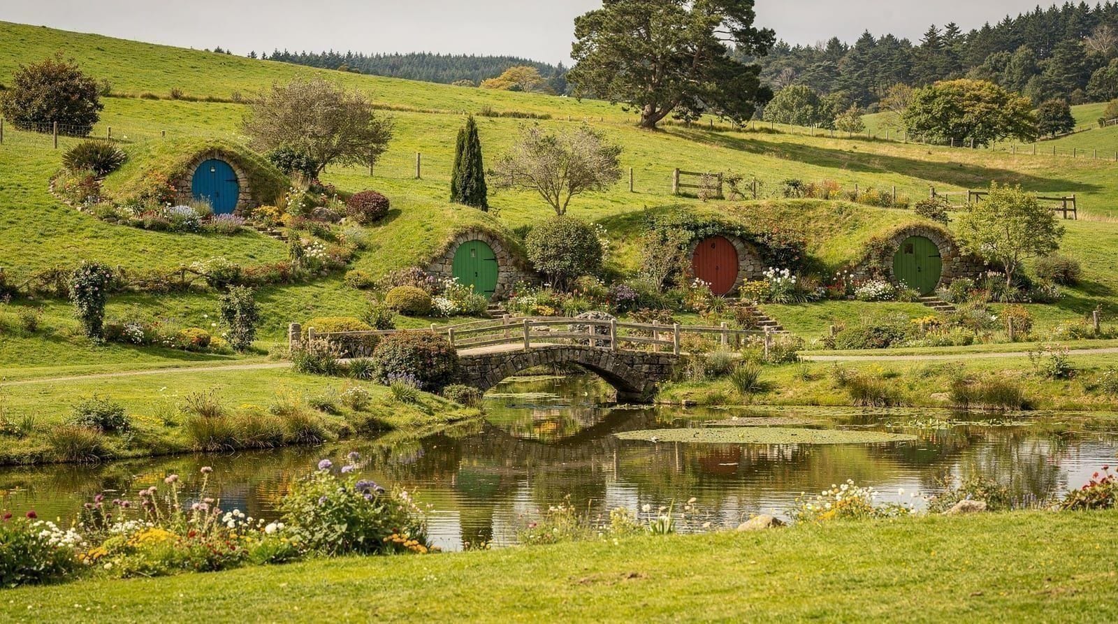Matamata: Hobbiton movie set small group day tour from auckland