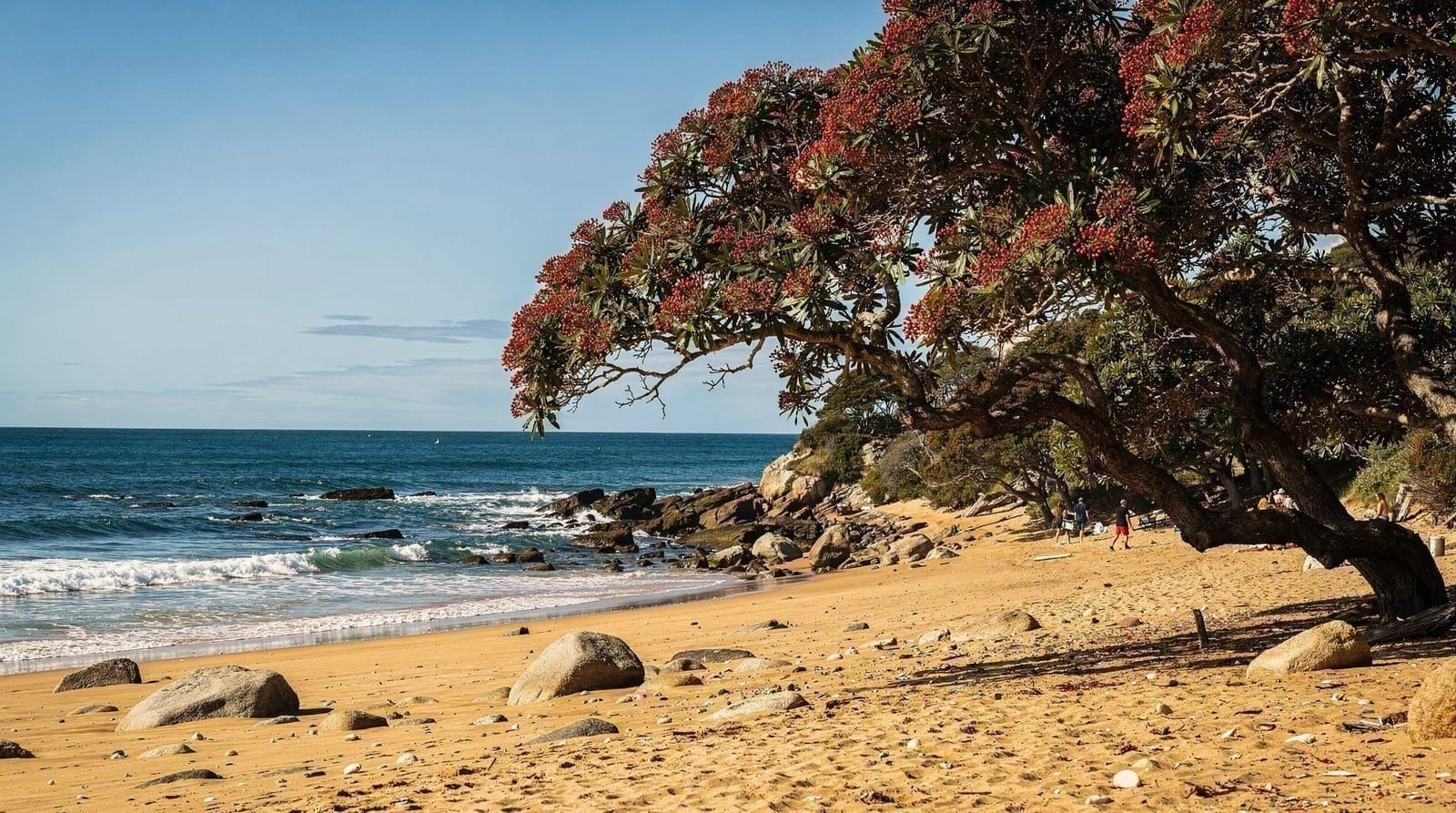 Kid-friendly beaches in Auckland, ranked by age group