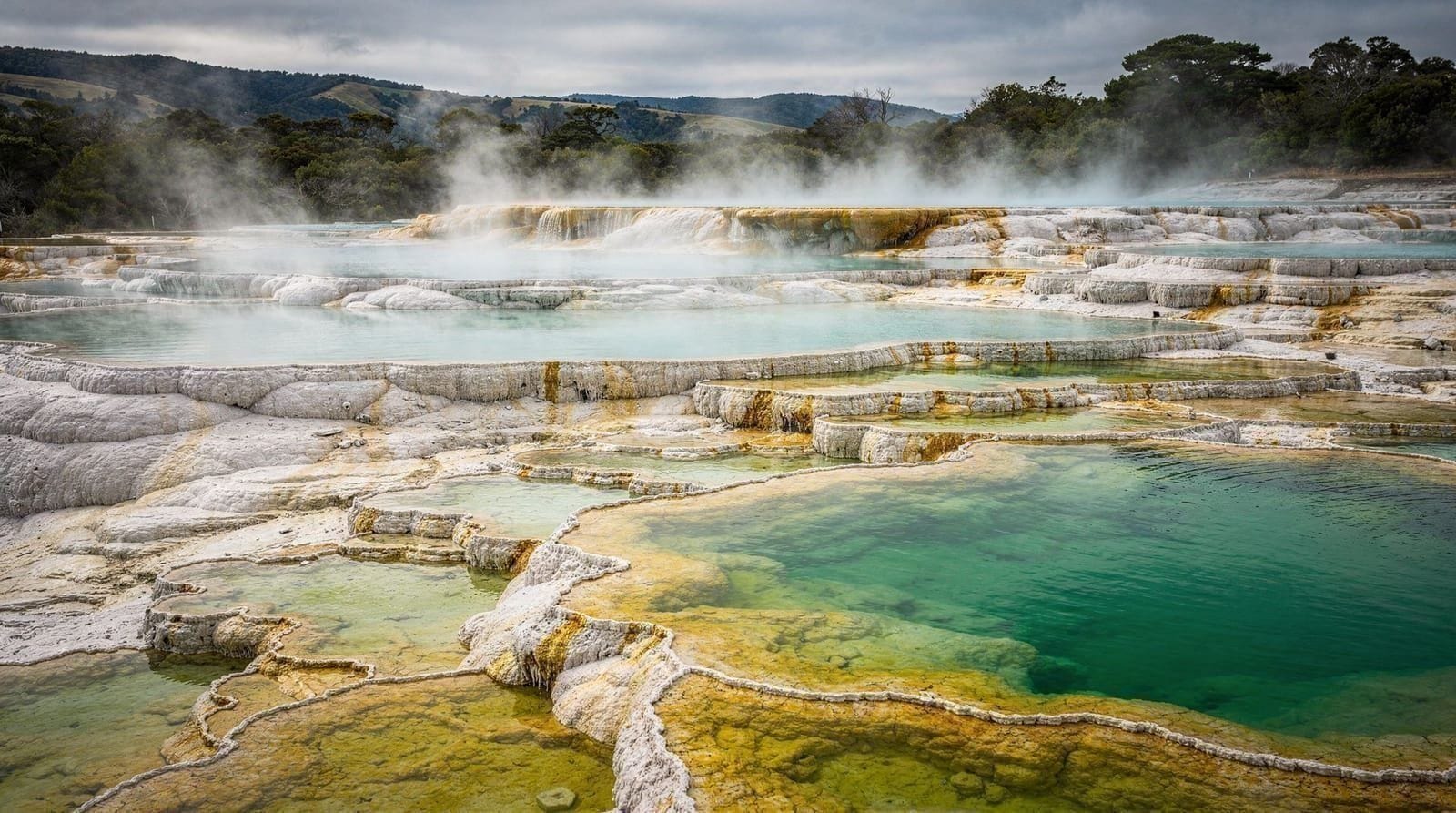 Rotorua day trip from Auckland — Rotorua day trip from Auckland: real 3-hour drive time, geothermal parks worth y