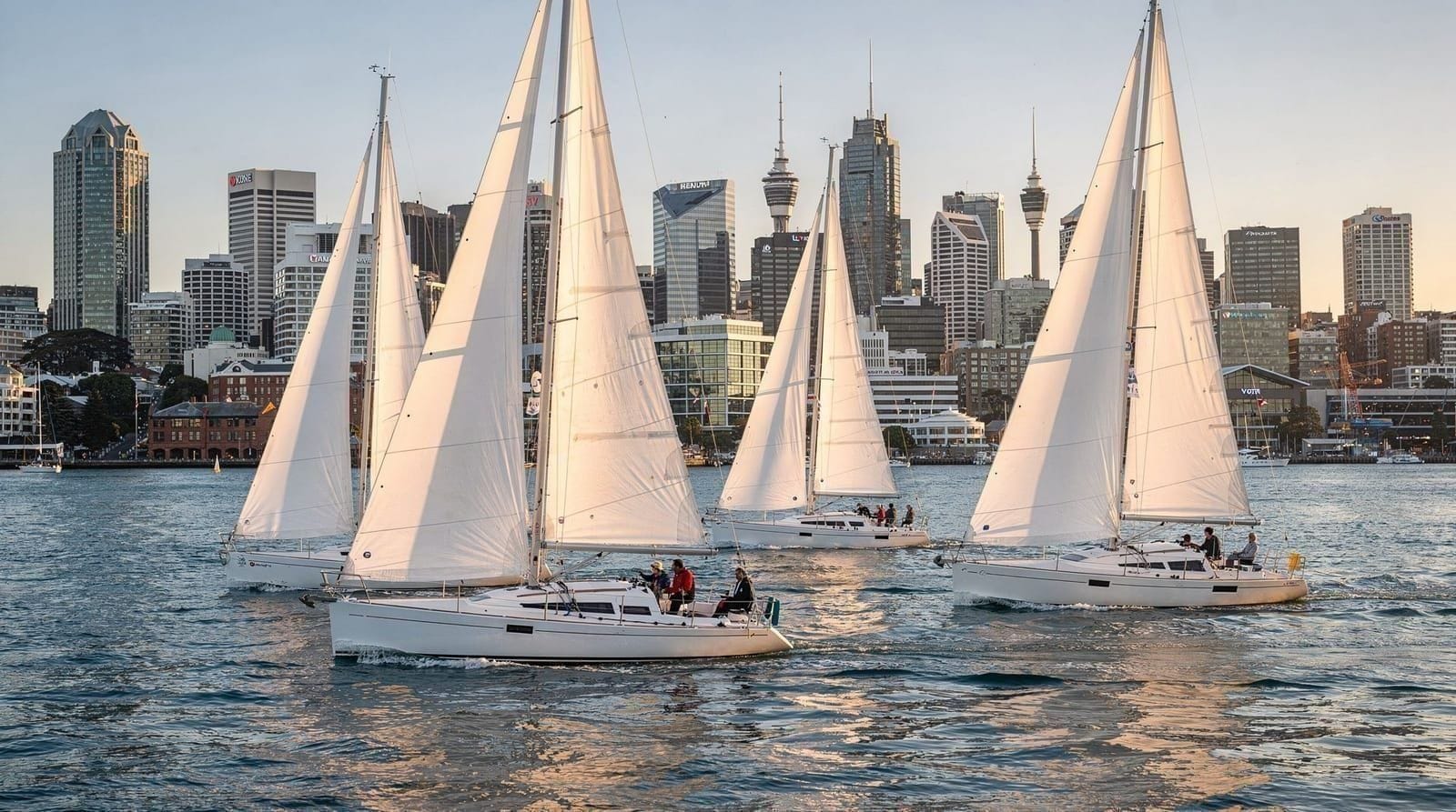 Auckland: Harbour 15 hour sailing cruise optional lunch