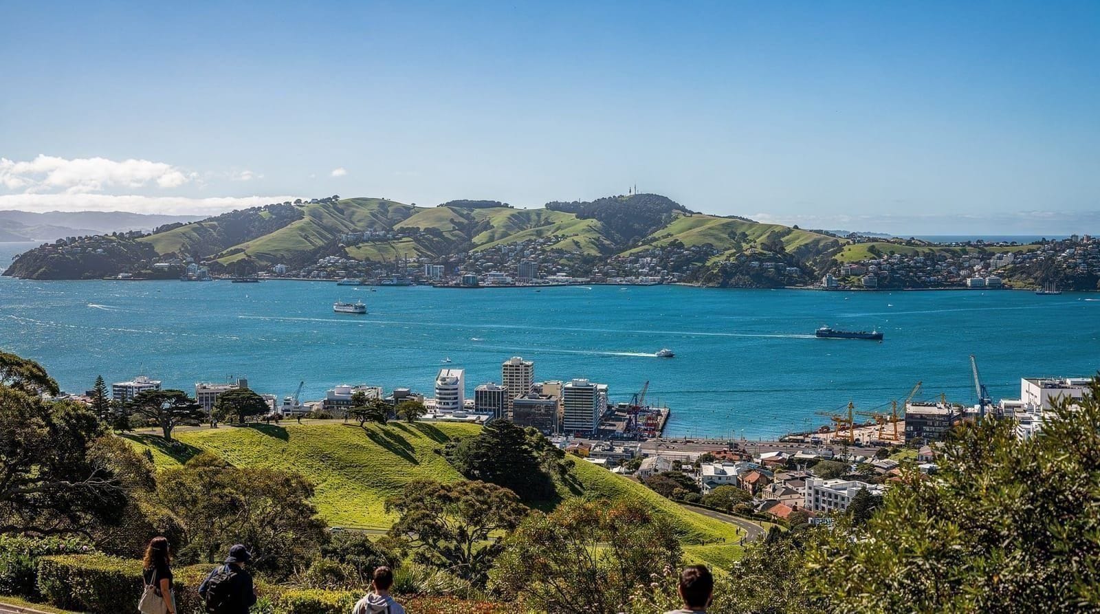 Self-drive vs guided tour for Auckland day trips — Self-drive vs guided tour for Auckland day trips compared honestly: rental car c