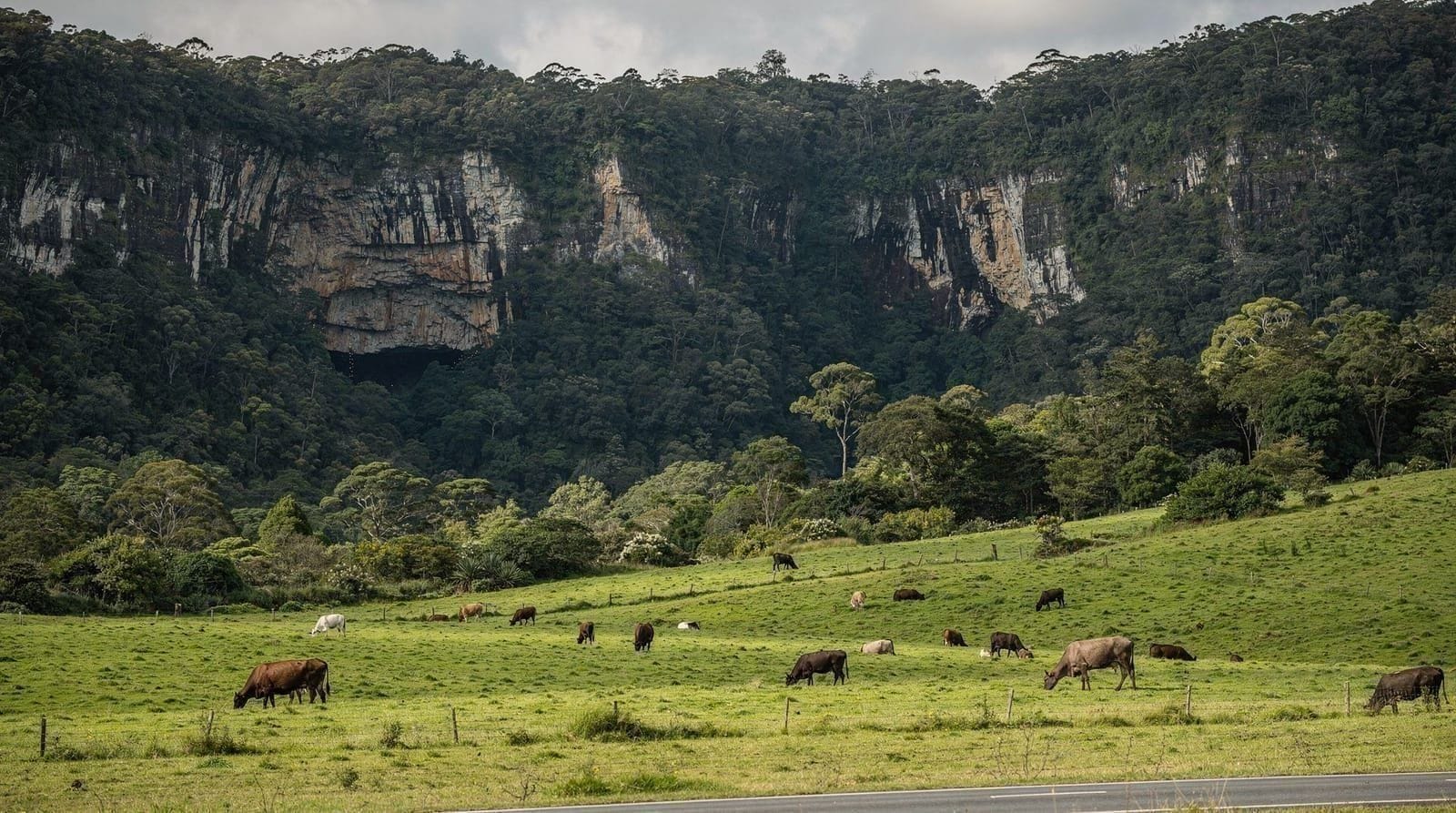 Waitomo Caves day trip from Auckland — Waitomo Caves day trip from Auckland: 2.5-hour drive time, glowworm boat tour vs