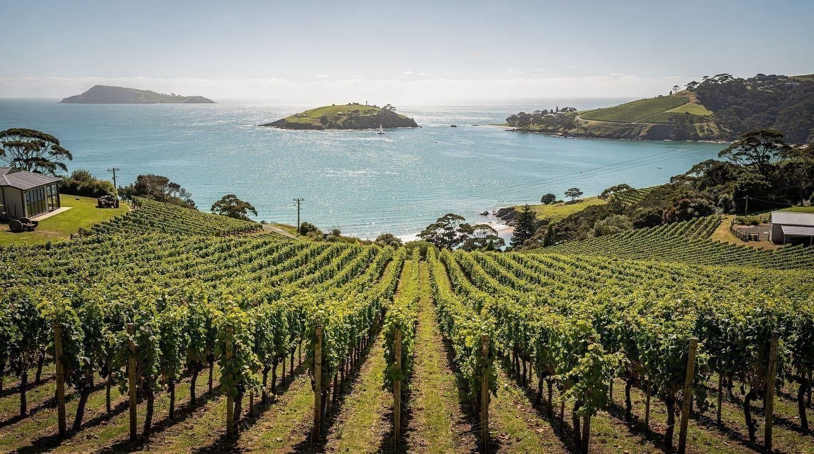 Waiheke wine weekend itinerary — 2 days — easy — luxury