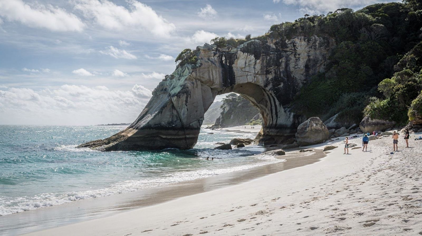Cathedral Cove and Coromandel day tour from Auckland — Honest review of Cathedral Cove and Coromandel day tours from Auckland: real NZD