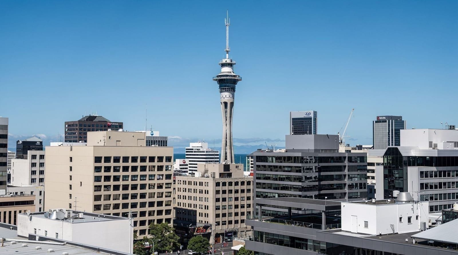 Sky Tower experience: tickets, prices and is it worth it — Honest review of Auckland's Sky Tower: real NZD ticket prices for the observatio