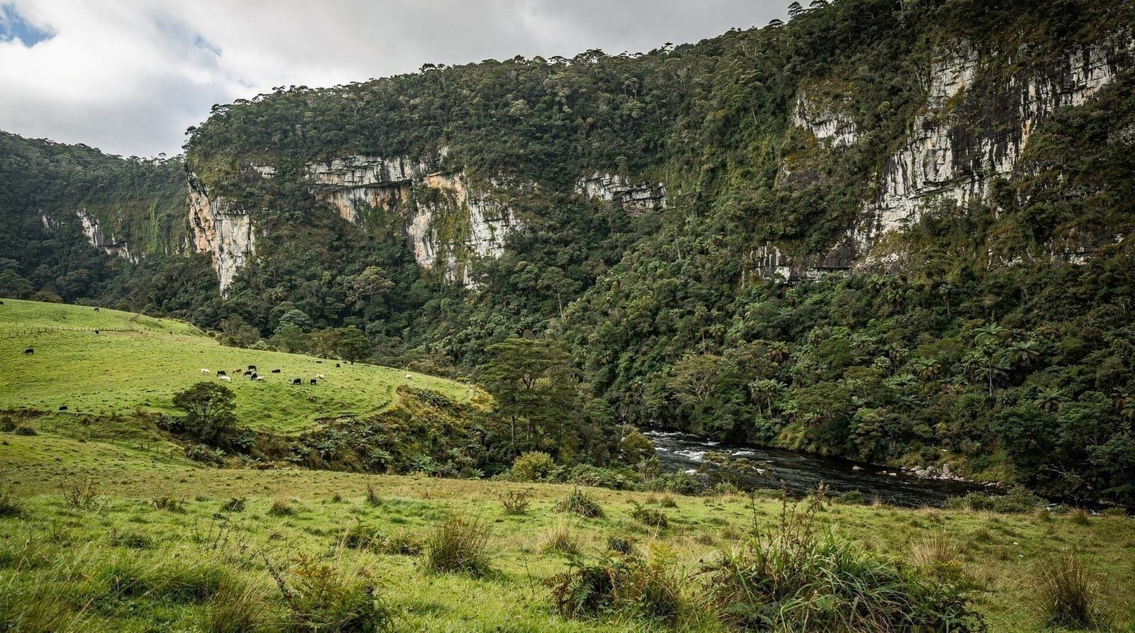 Waitomo Glowworm Caves tour: price, duration and is it worth it — Honest review of the Waitomo Glowworm Caves boat tour: real NZD price, what happ